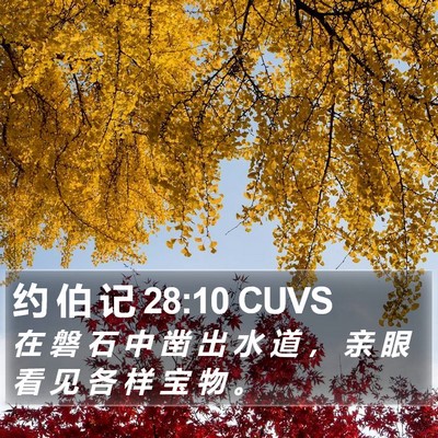 约 伯 记 28:10 CUVS Bible Verse Image