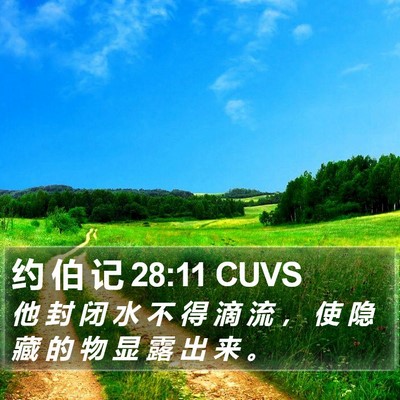 约 伯 记 28:11 CUVS Bible Verse Image
