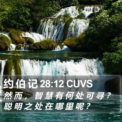 约 伯 记 28:12 CUVS Bible Verse Image