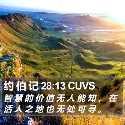 约 伯 记 28:13 CUVS Bible Verse Image