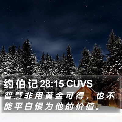 约 伯 记 28:15 CUVS Bible Verse Image