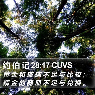 约 伯 记 28:17 CUVS Bible Verse Image