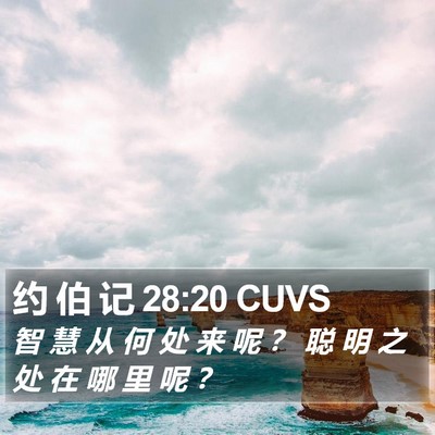 约 伯 记 28:20 CUVS Bible Verse Image