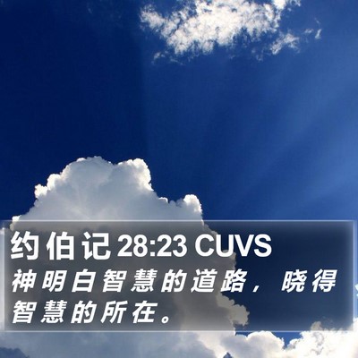 约 伯 记 28:23 CUVS Bible Verse Image