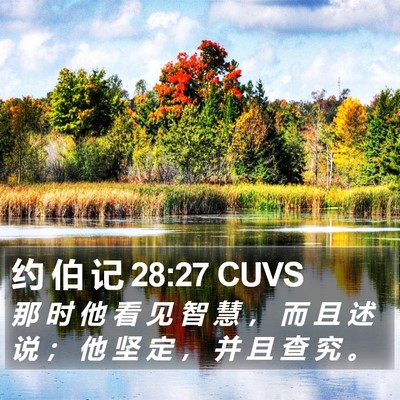 约 伯 记 28:27 CUVS Bible Verse Image