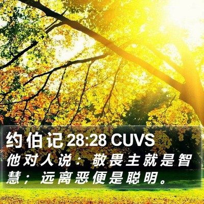 约 伯 记 28:28 CUVS Bible Verse Image