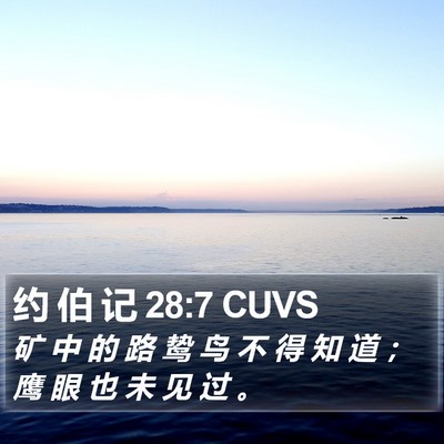 约 伯 记 28:7 CUVS Bible Verse Image