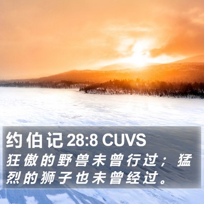 约 伯 记 28:8 CUVS Bible Verse Image