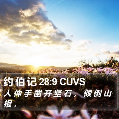 约 伯 记 28:9 CUVS Bible Verse Image