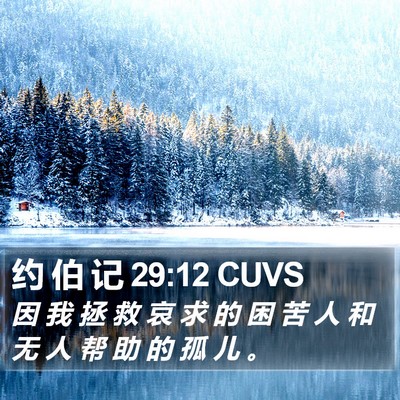 约 伯 记 29:12 CUVS Bible Verse Image