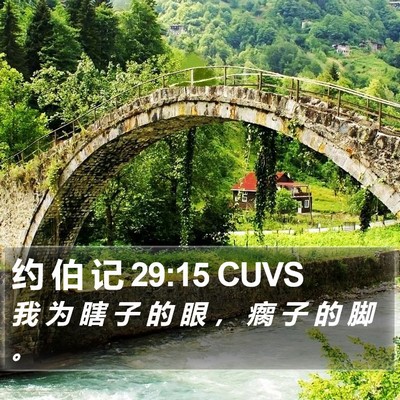 约 伯 记 29:15 CUVS Bible Verse Image