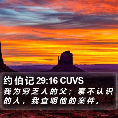 约 伯 记 29:16 CUVS Bible Verse Image