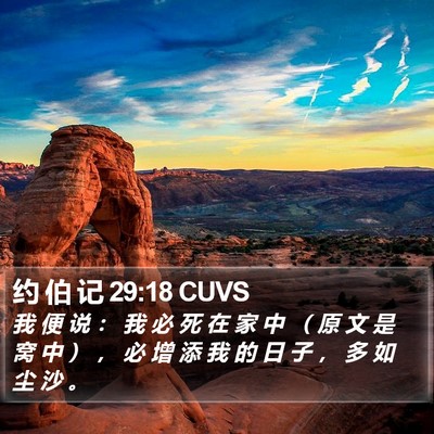 约 伯 记 29:18 CUVS Bible Verse Image