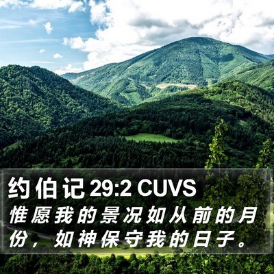 约 伯 记 29:2 CUVS Bible Verse Image