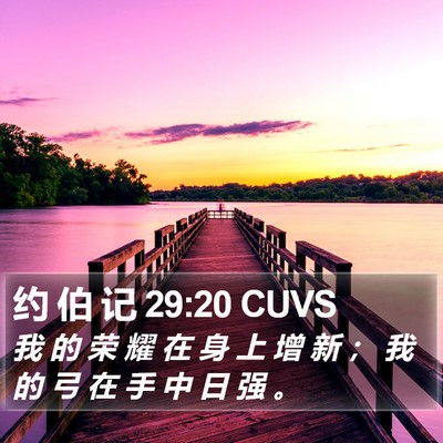 约 伯 记 29:20 CUVS Bible Verse Image