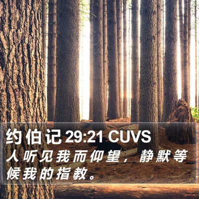 约 伯 记 29:21 CUVS Bible Verse Image