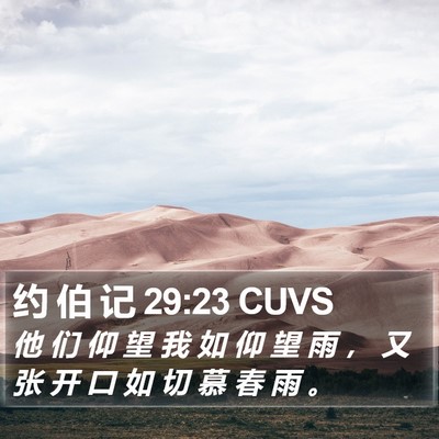 约 伯 记 29:23 CUVS Bible Verse Image
