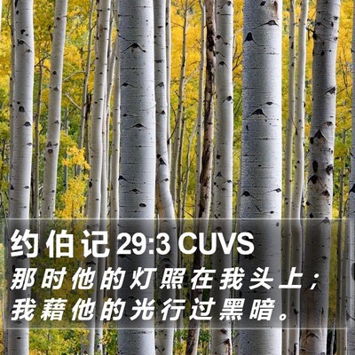约 伯 记 29:3 CUVS Bible Verse Image