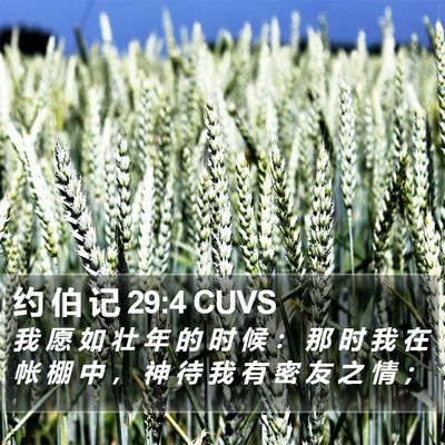 约 伯 记 29:4 CUVS Bible Verse Image