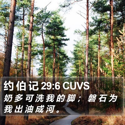 约 伯 记 29:6 CUVS Bible Verse Image