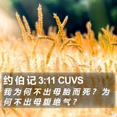 约 伯 记 3:11 CUVS Bible Verse Image