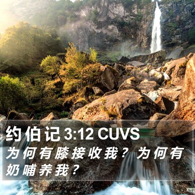 约 伯 记 3:12 CUVS Bible Verse Image
