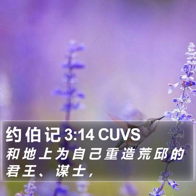 约 伯 记 3:14 CUVS Bible Verse Image