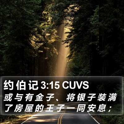 约 伯 记 3:15 CUVS Bible Verse Image