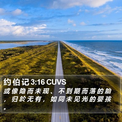 约 伯 记 3:16 CUVS Bible Verse Image