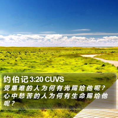 约 伯 记 3:20 CUVS Bible Verse Image