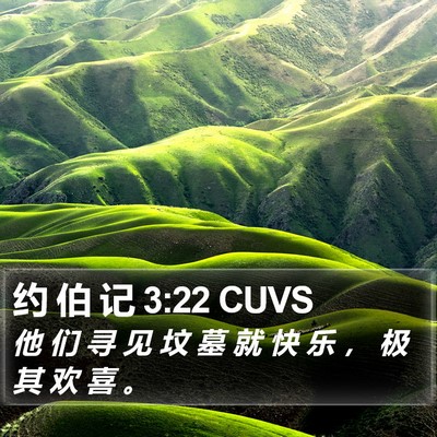 约 伯 记 3:22 CUVS Bible Verse Image