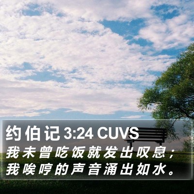 约 伯 记 3:24 CUVS Bible Verse Image