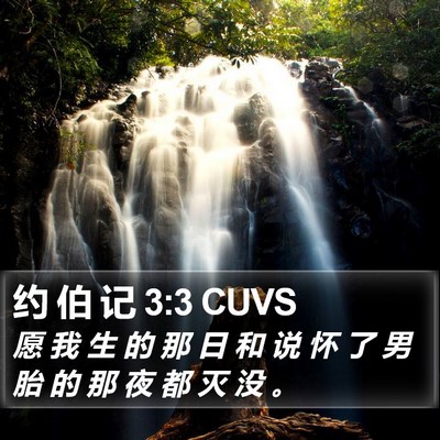 约 伯 记 3:3 CUVS Bible Verse Image