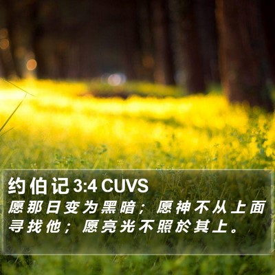约 伯 记 3:4 CUVS Bible Verse Image