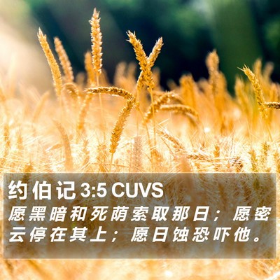 约 伯 记 3:5 CUVS Bible Verse Image