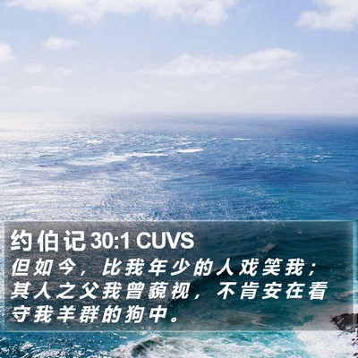 约 伯 记 30:1 CUVS Bible Verse Image