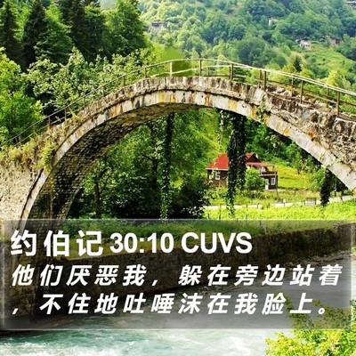约 伯 记 30:10 CUVS Bible Verse Image