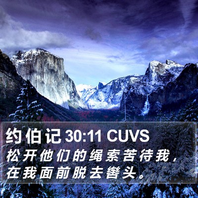 约 伯 记 30:11 CUVS Bible Verse Image