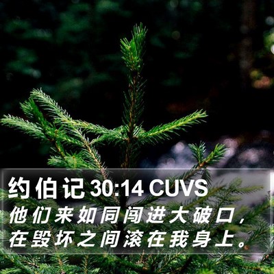 约 伯 记 30:14 CUVS Bible Verse Image