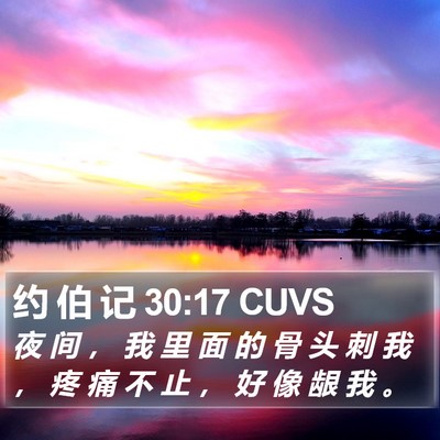 约 伯 记 30:17 CUVS Bible Verse Image