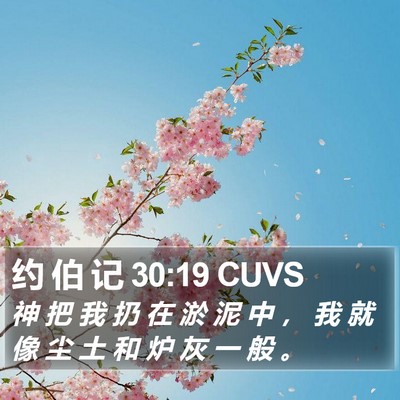 约 伯 记 30:19 CUVS Bible Verse Image