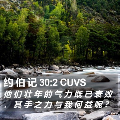 约 伯 记 30:2 CUVS Bible Verse Image