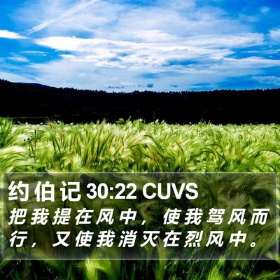 约 伯 记 30:22 CUVS Bible Verse Image