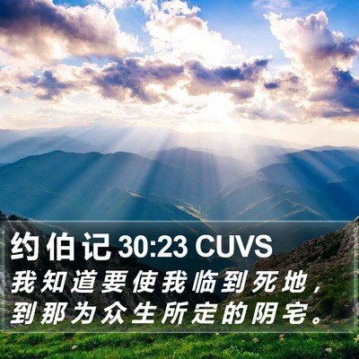 约 伯 记 30:23 CUVS Bible Verse Image