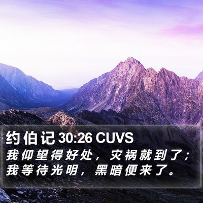 约 伯 记 30:26 CUVS Bible Verse Image