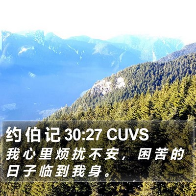 约 伯 记 30:27 CUVS Bible Verse Image