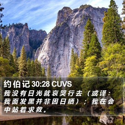 约 伯 记 30:28 CUVS Bible Verse Image