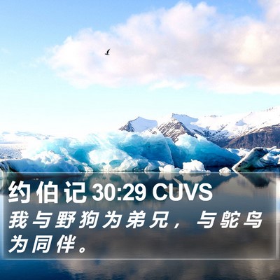 约 伯 记 30:29 CUVS Bible Verse Image