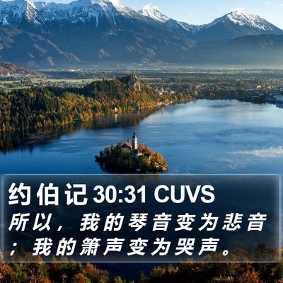 约 伯 记 30:31 CUVS Bible Verse Image