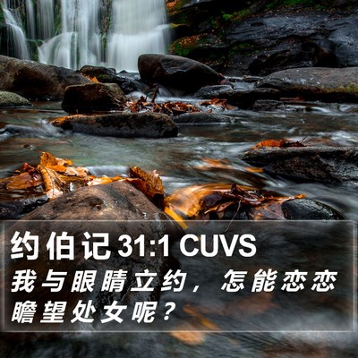 约 伯 记 31:1 CUVS Bible Verse Image